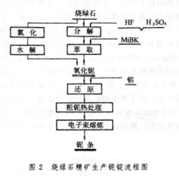 图片2_副本.png