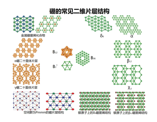 图片5_副本.png