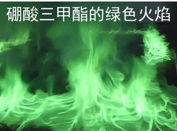 图片12_副本.png